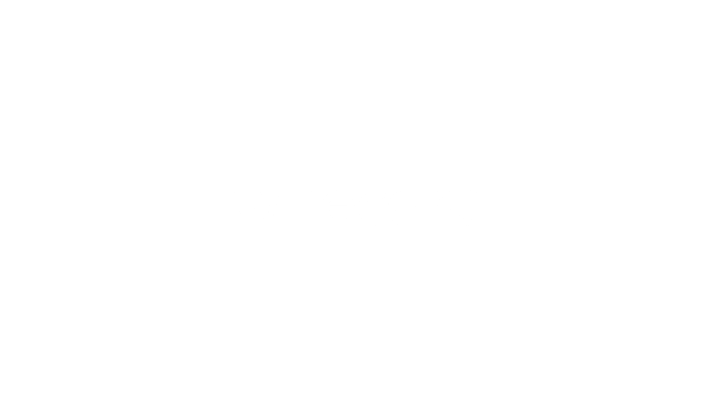 wirecard2